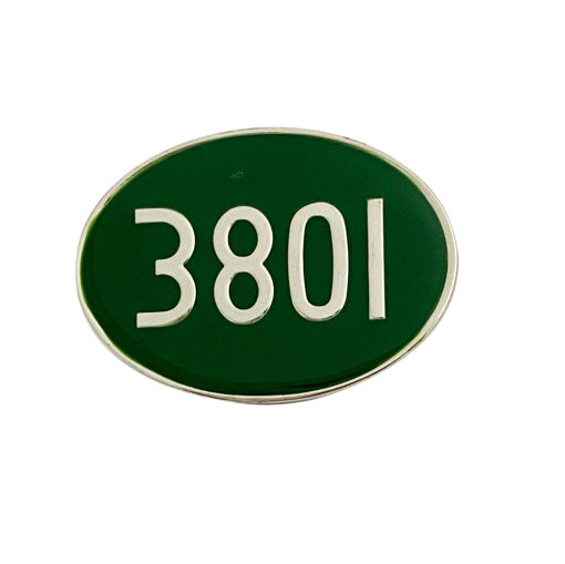 Picture of 3801 Oval Pin