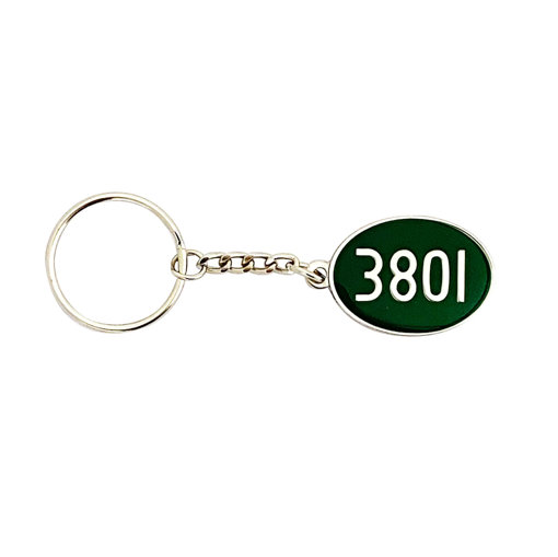 Picture of 3801 Oval Key Ring