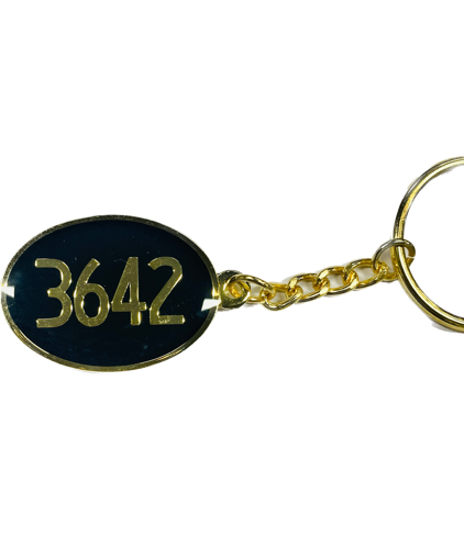 Picture of 3642 Oval Keyring