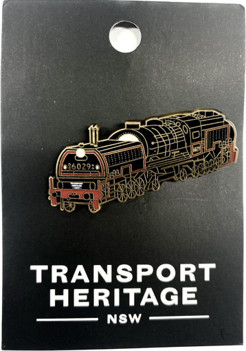 Picture of 6029 Train Pin