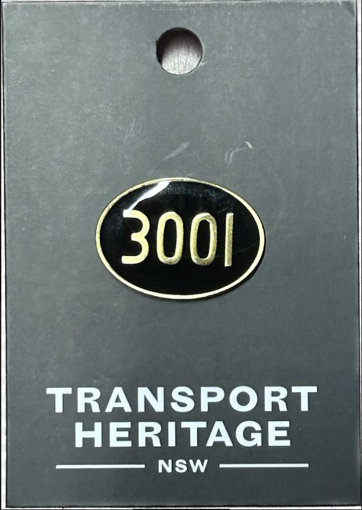 Picture of 3001 Oval Pin