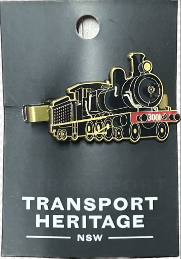 Picture of 3001 Train Pin