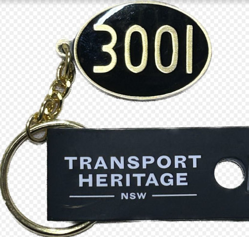 Picture of 3001 Oval Keyring