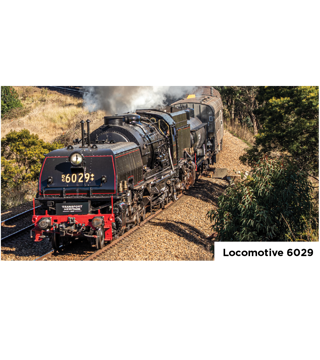 Picture of 6029 Locomotive Magnet