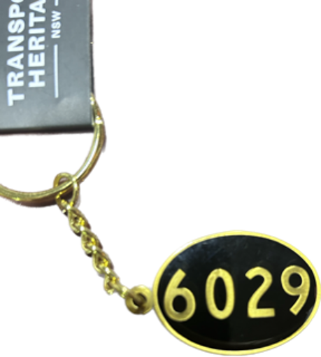 Picture of 6029 Oval Keyring