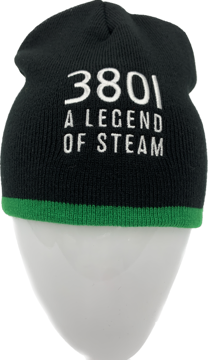 Picture of 3801 Beanie (Offshore)