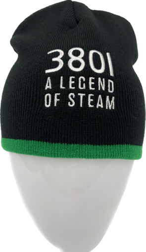 Picture of 3801 Beanie (Offshore)