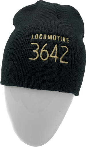 Picture of 3642 Beanie (Offshore)