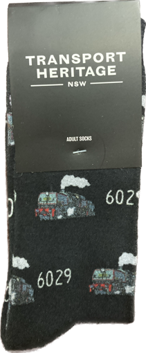 Picture of 6029 Socks