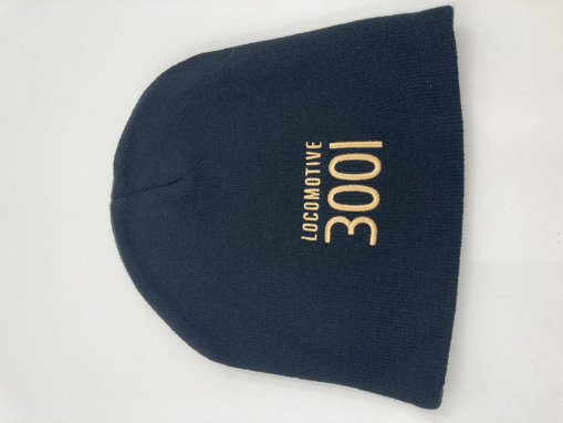 Picture of 3001 Beanie (Offshore)